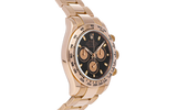 Cosmograph Daytona 116505