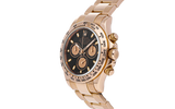 Cosmograph Daytona 116505