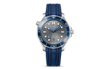 DIVER 300M CO‑AXIAL MASTER CHRONOMETER